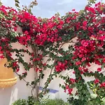 Flamingo's House In Sant'antioco, Sardinia Vakantiehuis *