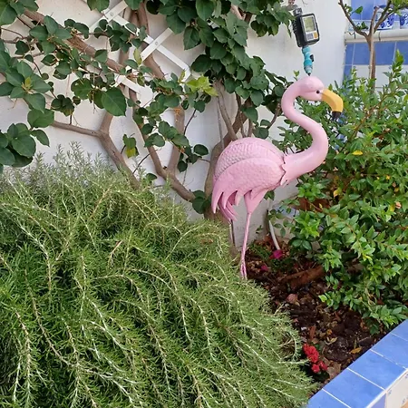 Flamingo's House In Sant'antioco, Sardinia Vakantiehuis *